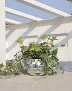 Elevate Your Space with Eclectic Whimsical Disco Ball Hanging Herb Planters – Perfect for Indoor and Outdoor Decor!