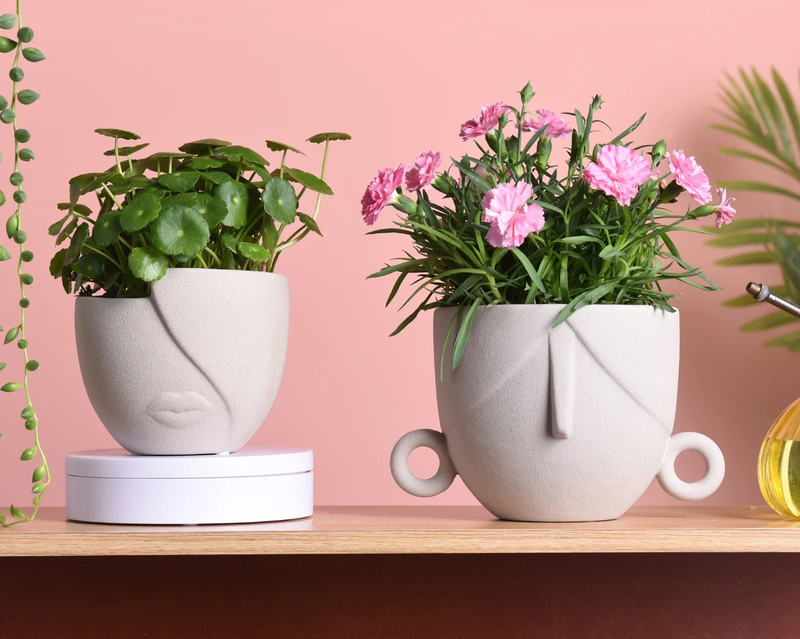 Charming Succulent Face Flower Pots - Set of 2 Stylish Ceramic Planters for Indoor/Outdoor Decor with Drainage in Elegant Brown