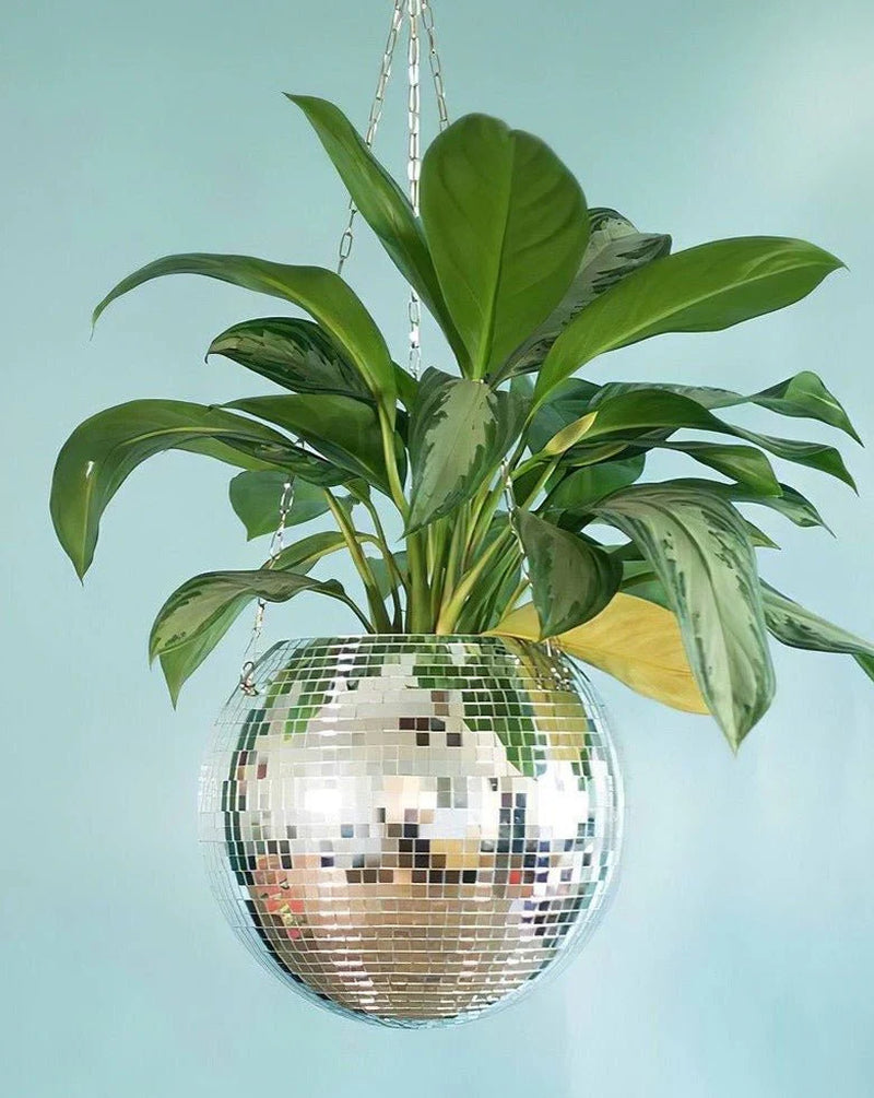 Elevate Your Space with Eclectic Whimsical Disco Ball Hanging Herb Planters – Perfect for Indoor and Outdoor Decor!