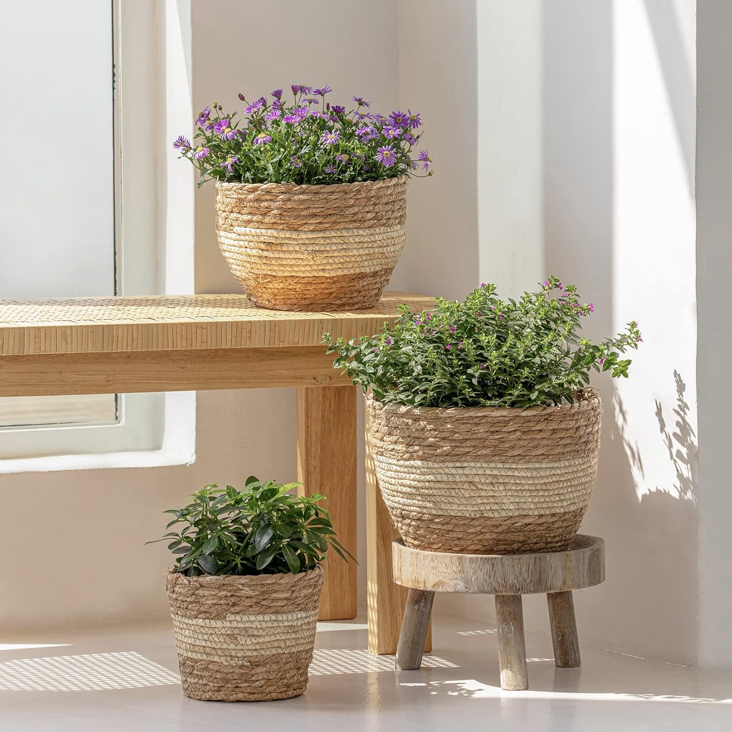 Seagrass Planter Basket Indoor Outdoor, Flower Pots Cover, Plant Containers, Beige, 10 Inch