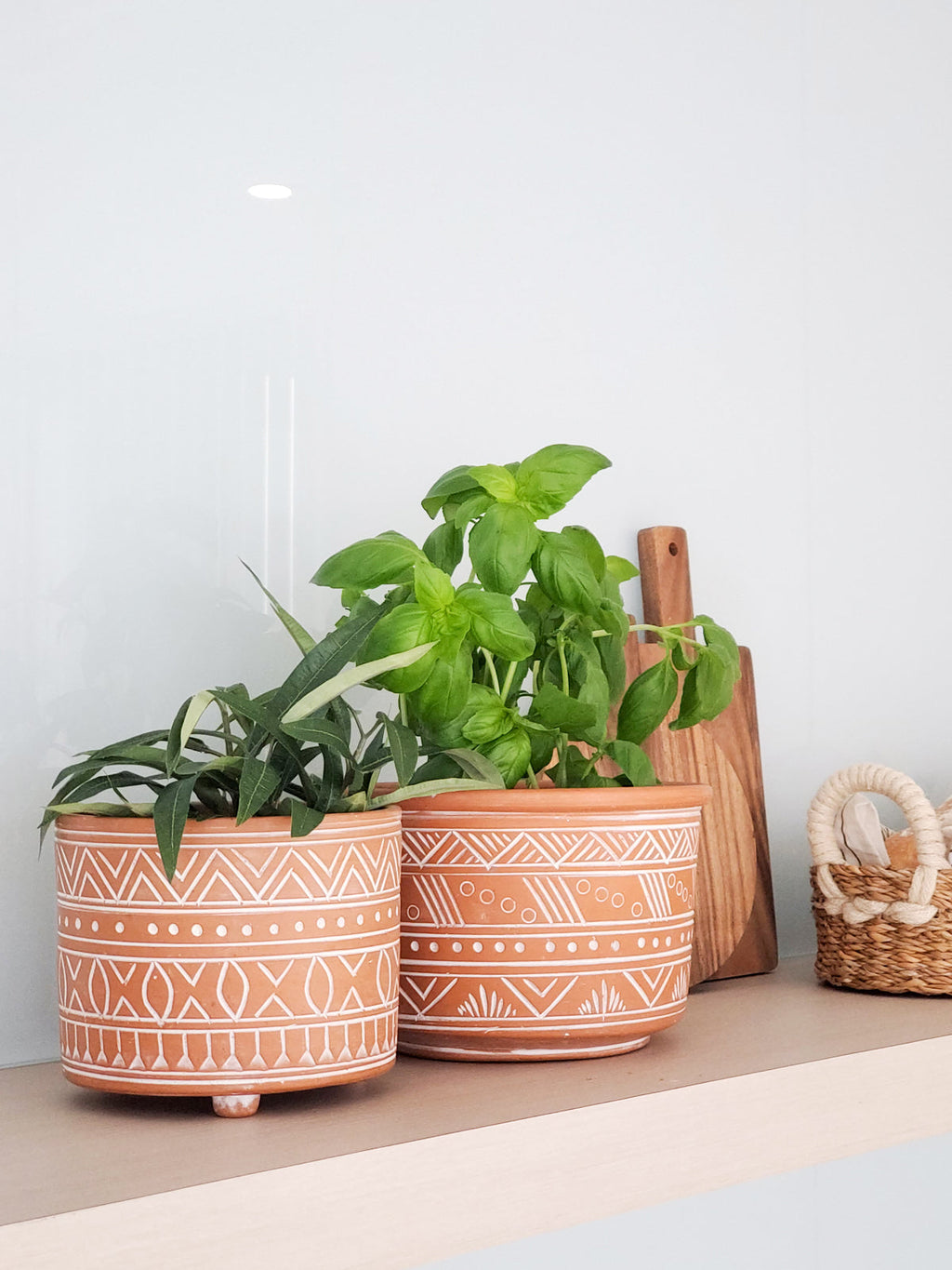 Hand-Etched Terracotta Plant Pot – Large