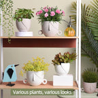 Charming Succulent Face Flower Pots - Set of 2 Stylish Ceramic Planters for Indoor/Outdoor Decor with Drainage in Elegant Brown
