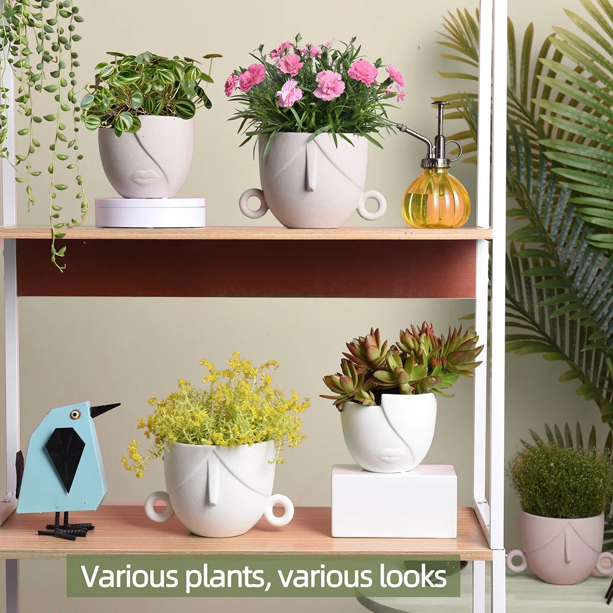 Charming Succulent Face Flower Pots - Set of 2 Stylish Ceramic Planters for Indoor/Outdoor Decor with Drainage in Elegant Brown
