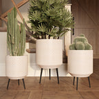 Elevate Your Space with the Stylish Metal Avery Modern Planters - Set of 3