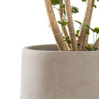 Stylish Round Concrete Planters Set - Durable Indoor/Outdoor Pots with Drainage Holes in Charcoal Finish