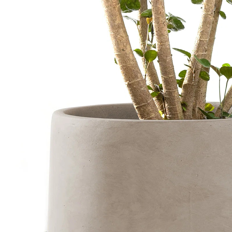 Stylish Round Concrete Planters Set - Durable Indoor/Outdoor Pots with Drainage Holes in Charcoal Finish