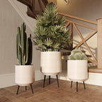 Elevate Your Space with the Stylish Metal Avery Modern Planters - Set of 3